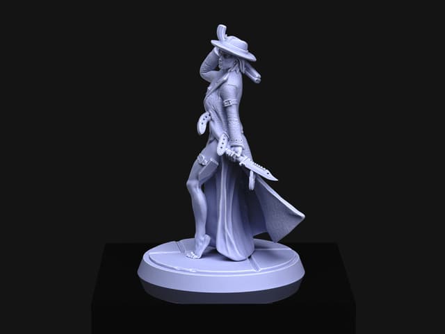 Woman investigator
