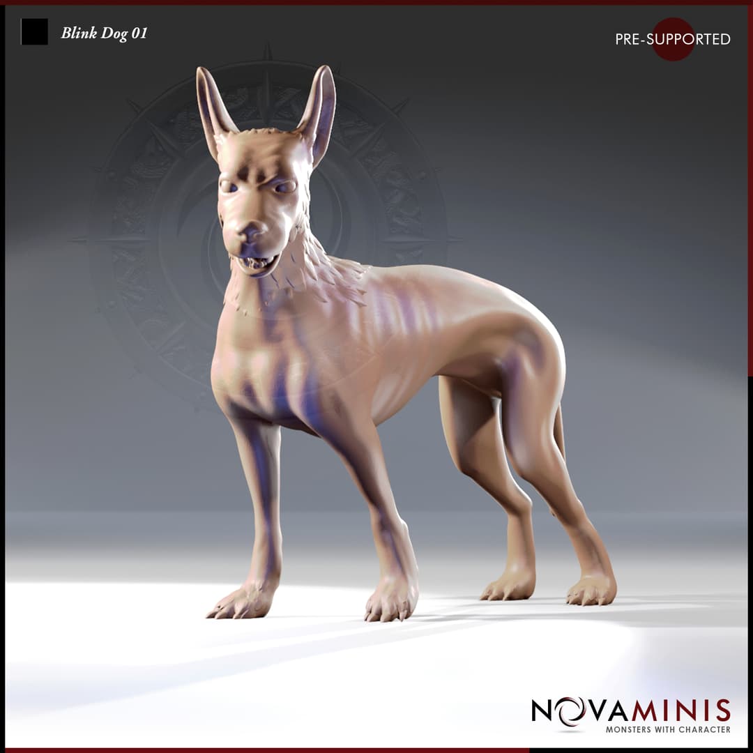 Blink Dog 01