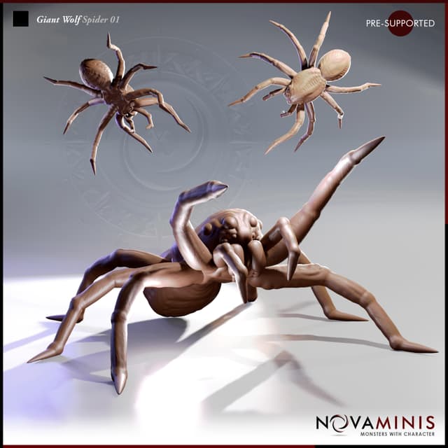 Giant Wolf Spider 01