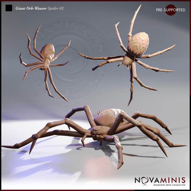 Giant Orb-Weaver Spider 02