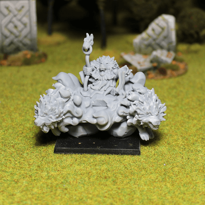 Druid 2