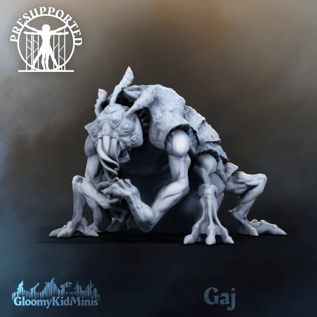 Gaj