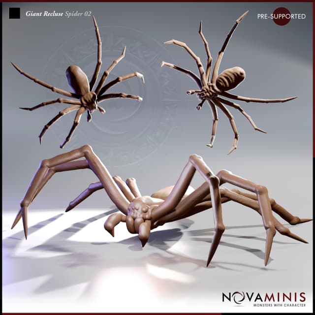 Giant Recluse Spider 02