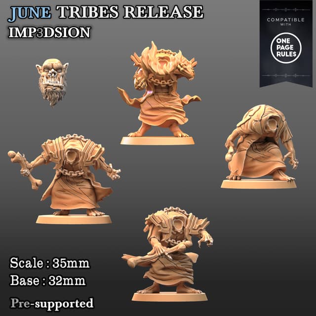 Necromancers 4 miniatures + 1 head