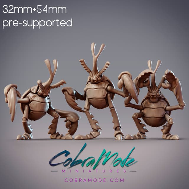Beetle Boys Crew - Vireo, Rubus, & Foli, Antenari Folk (Pre-supported)
