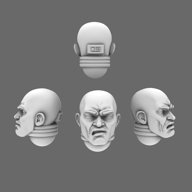 Lion Spirit Knights Bald Heads