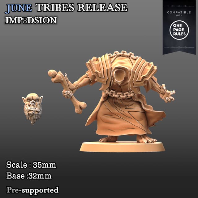 Orkuz Necromancer + head