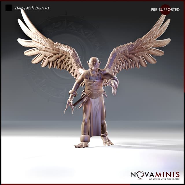 Harpy Male Brute 01