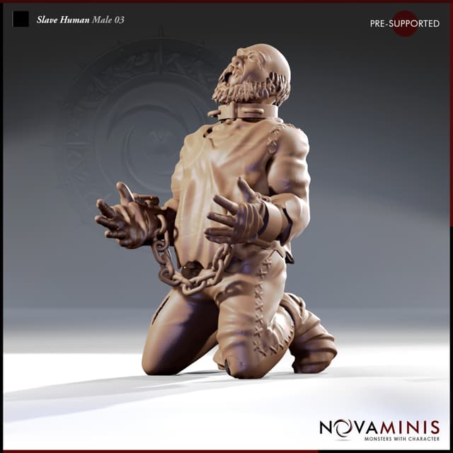 Slave Human Male 03