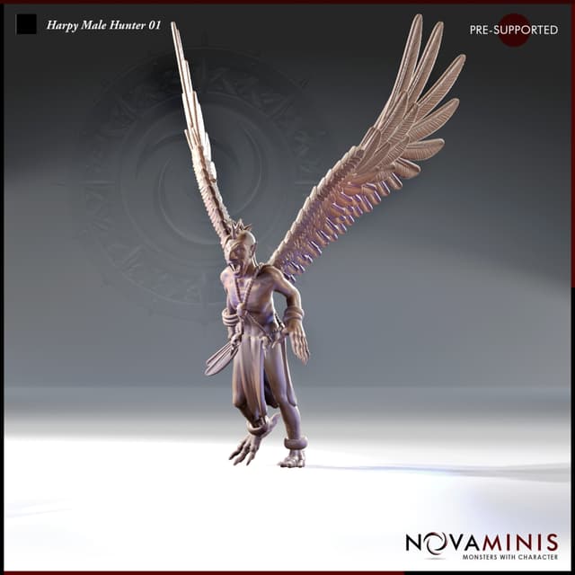 Harpy Male Hunter 01