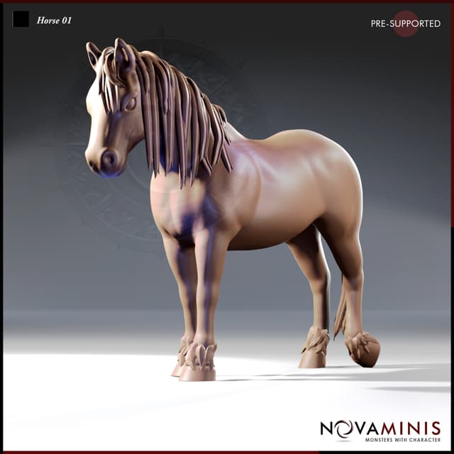 Horse 01