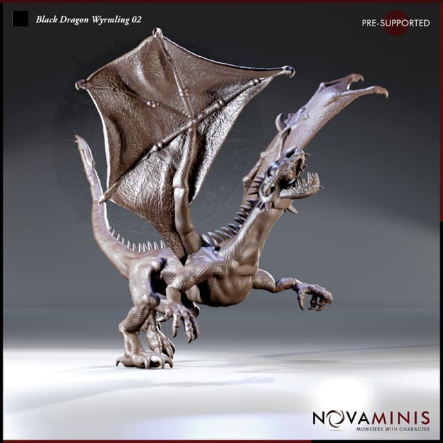 Black Dragon Wyrmling 02