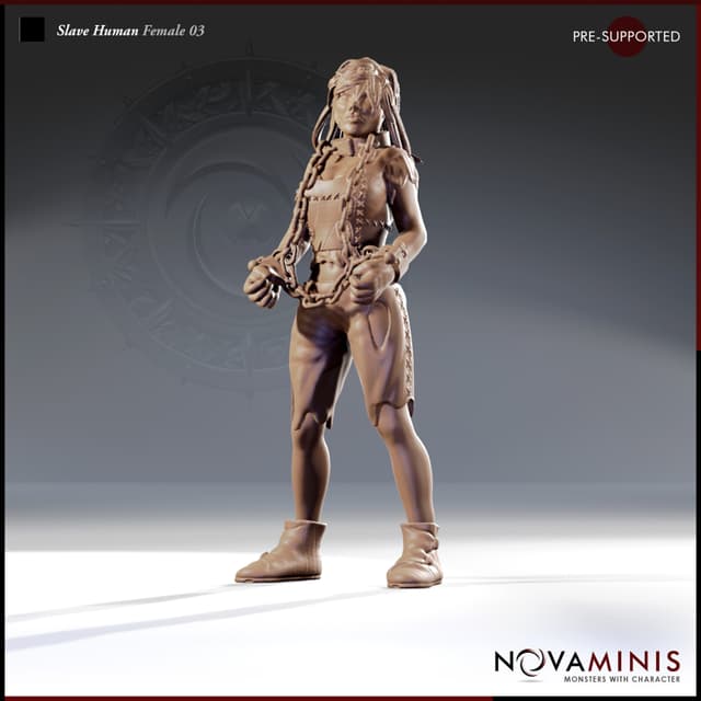 Slave Human Female 03
