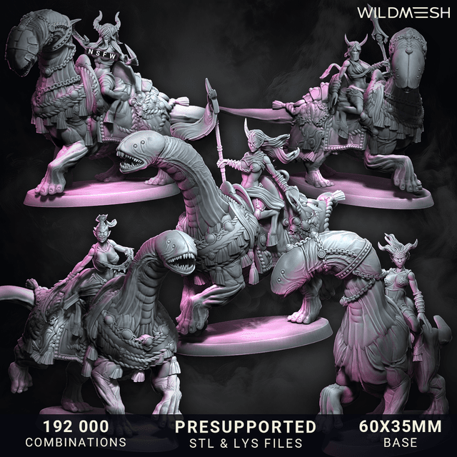 Chaos Excess - Succubus Riders Unit set II
