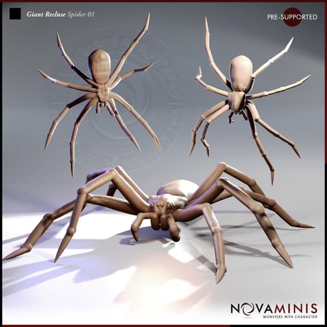 Giant Recluse Spider 01