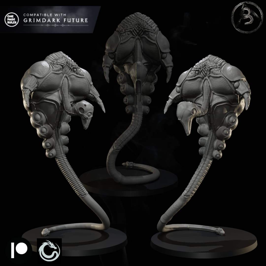Construct-SL
