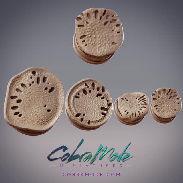 Mushroom Cap Base Pack (4pcs)