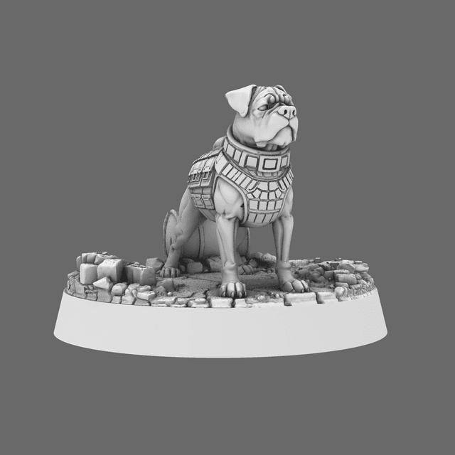 CT Pound Patrol Boxer Canine Tactical Specialist, Ranger