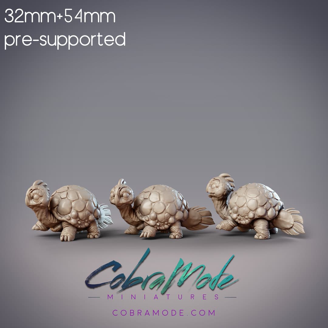 Baby Kyoka Turtles