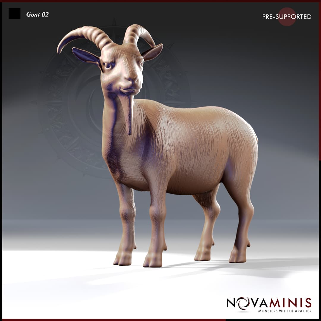Goat 02
