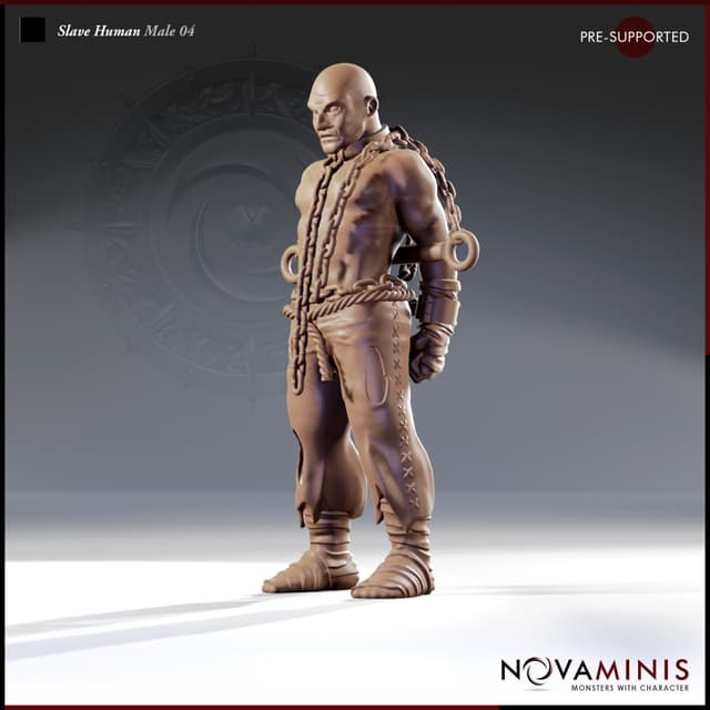 Slave Human Male 04