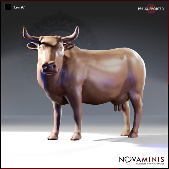 Cow 01