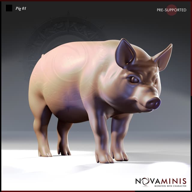Pig 01