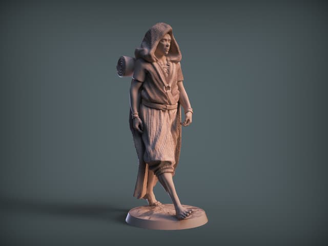 traveller