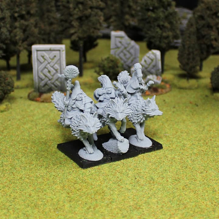 CG Dwarf Rangers in Fox