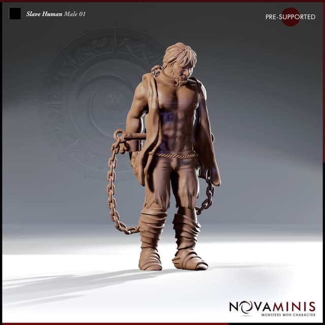 Slave Human Male 01