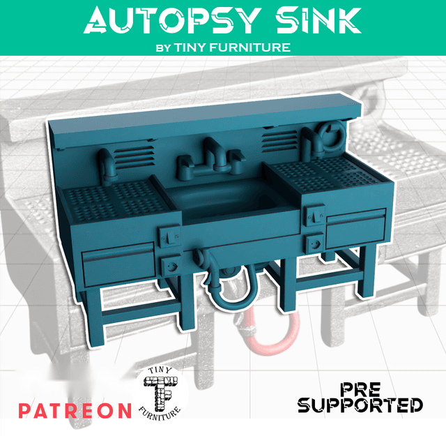 Autopsy Sink
