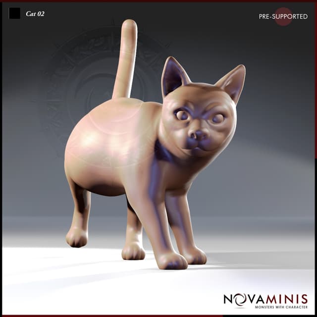 Cat 02