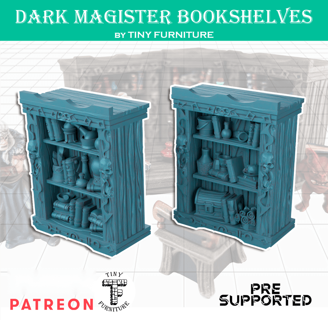 Dark Magister's Bookshelves