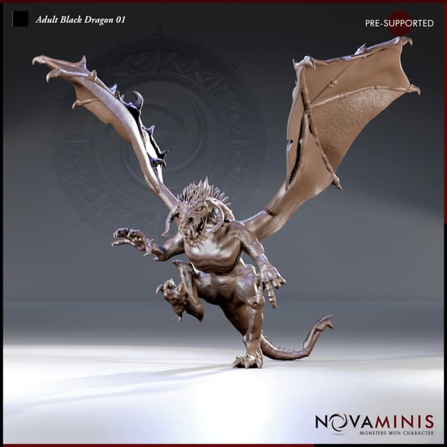 Adult Black Dragon 01