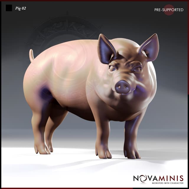 Pig 02