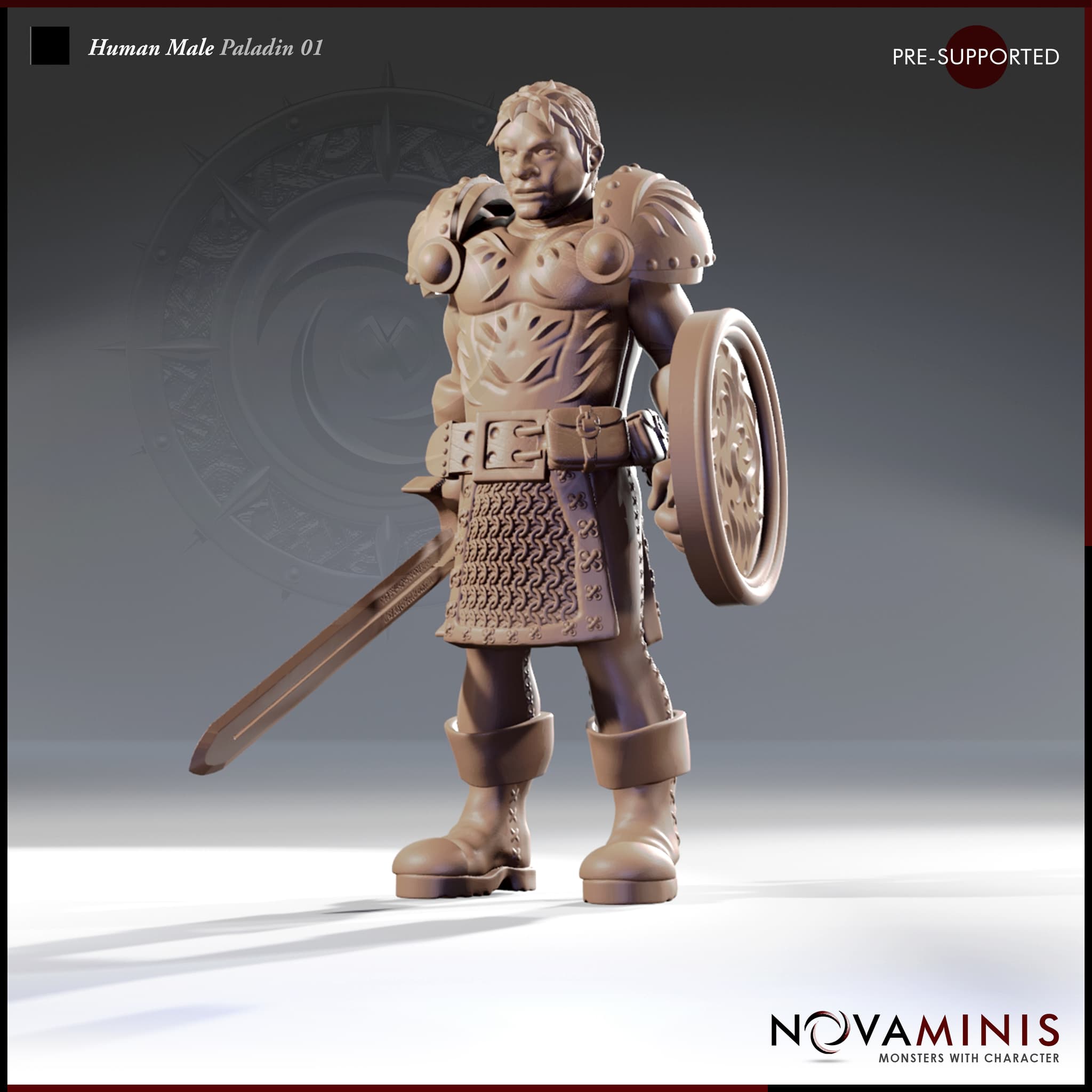 Human Male Paladin 01