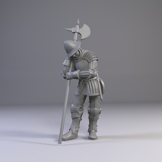 Sleeping City Guard