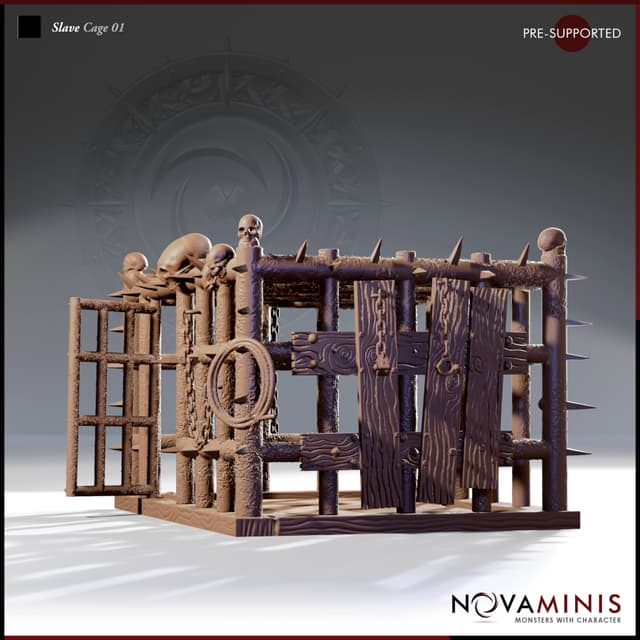 Slave Cage 01