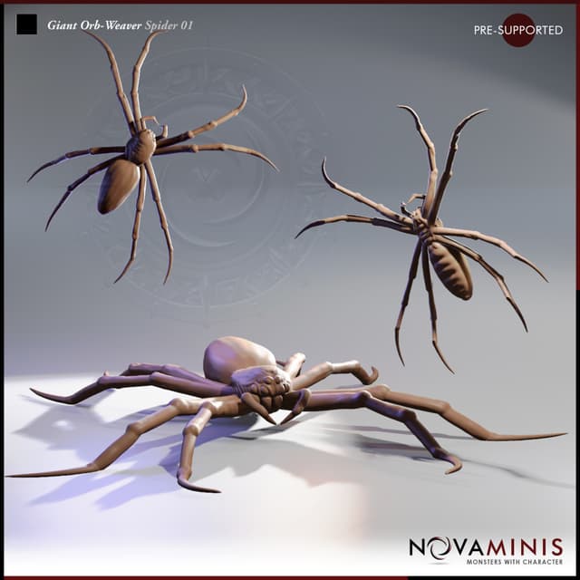 Giant Orb-Weaver Spider 01