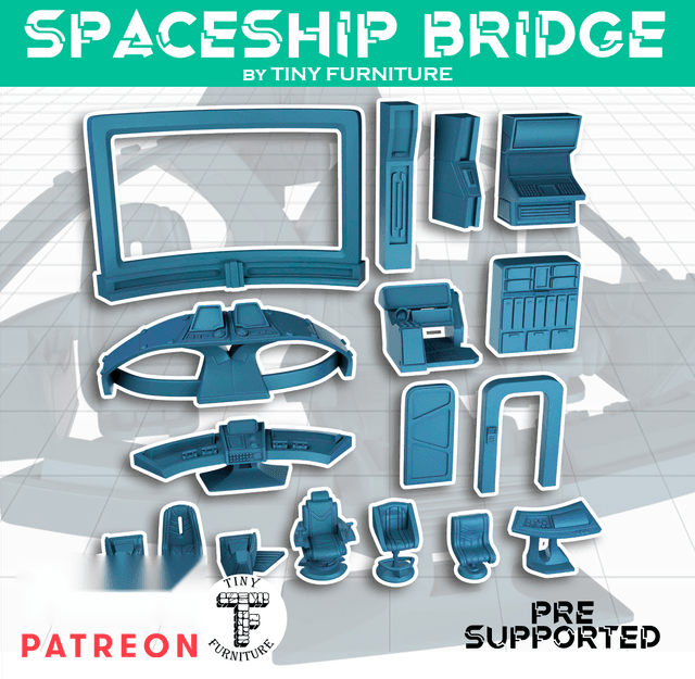 Spaceship Bridge