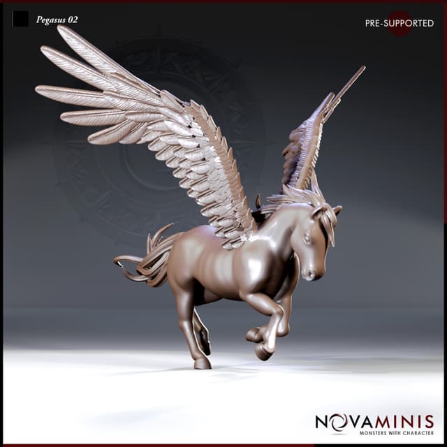 Pegasus 02