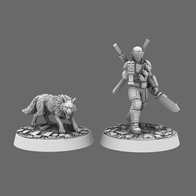 CT-All American Heroes Serpent Vision and Lone Wolf