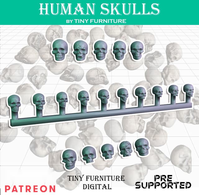Human skulls