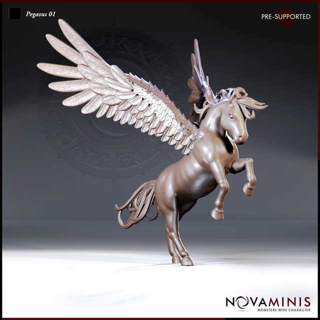Pegasus 01