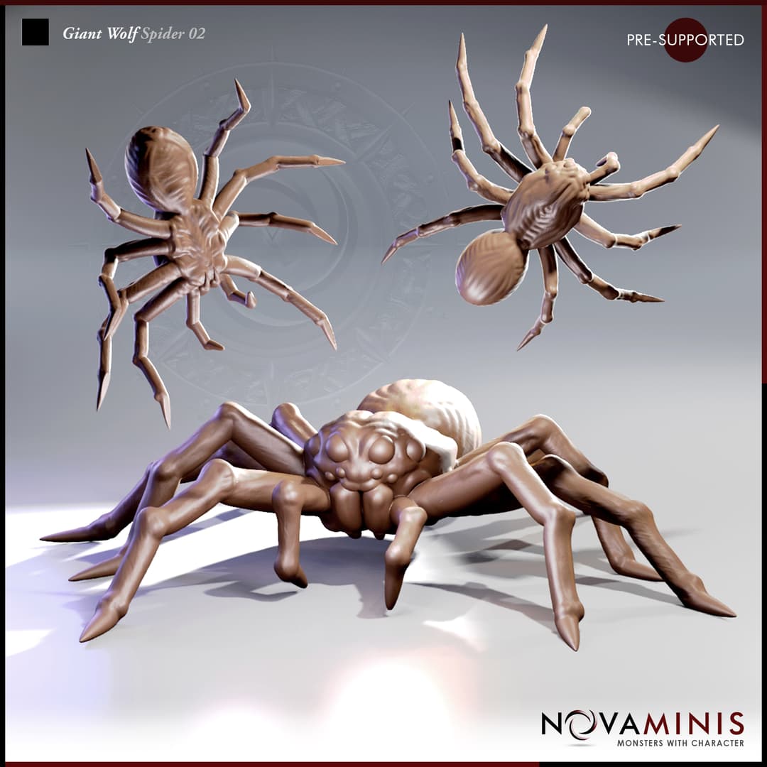 Giant Wolf Spider 02