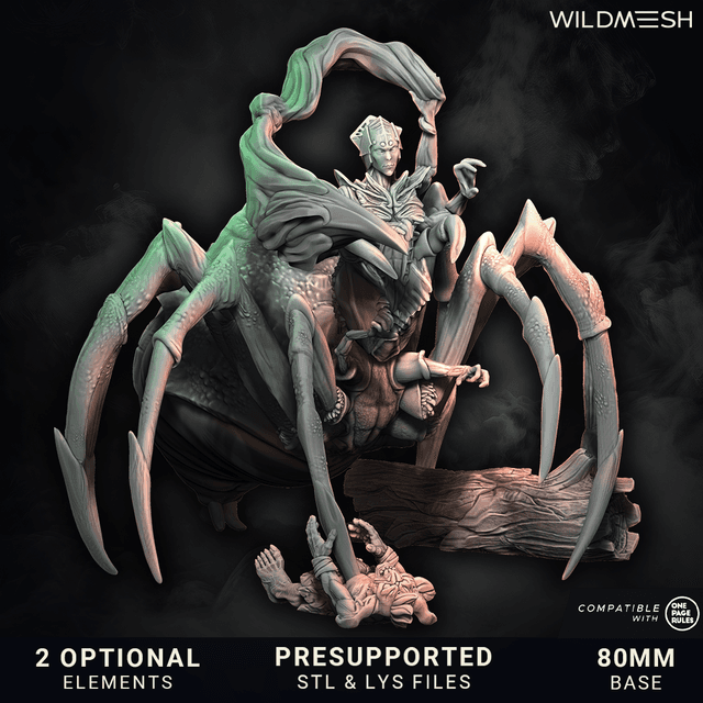 Fantasy - Spider Warlock