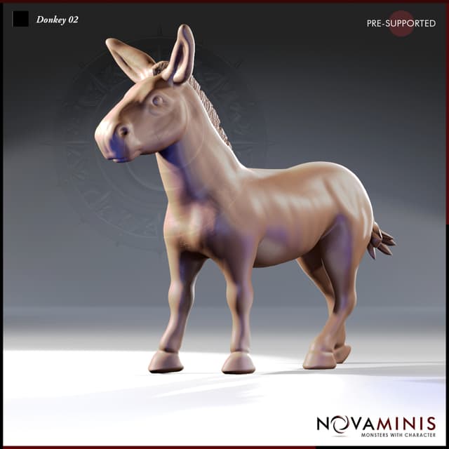 Donkey 02