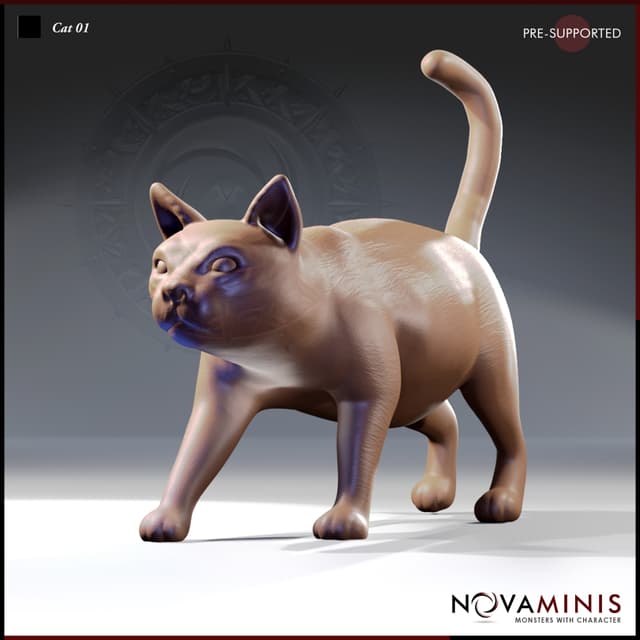 Cat 01