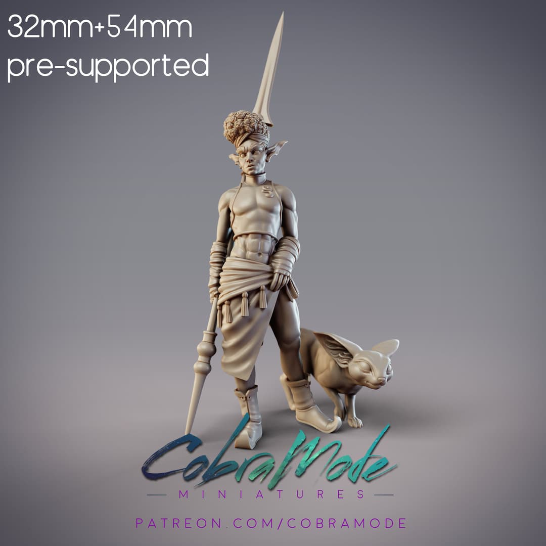 Zohaier, Mazigh Desert Elf Tracker and Hunting Cat (Pre-Supported)