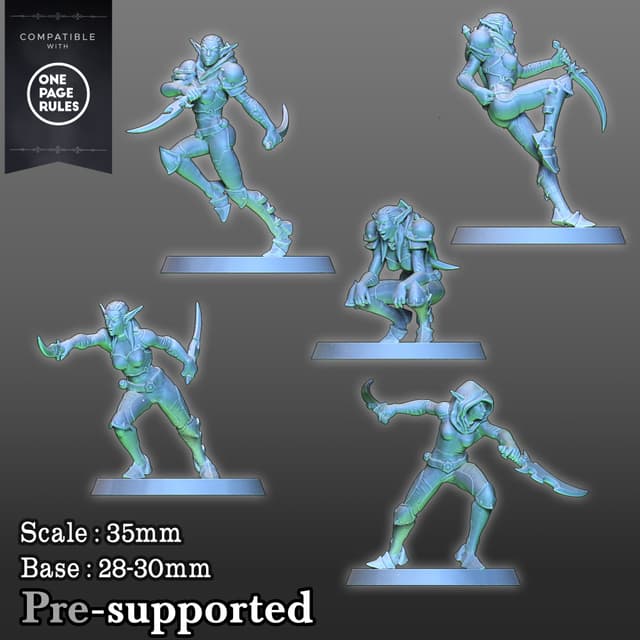 Rogue elf 5 miniatures